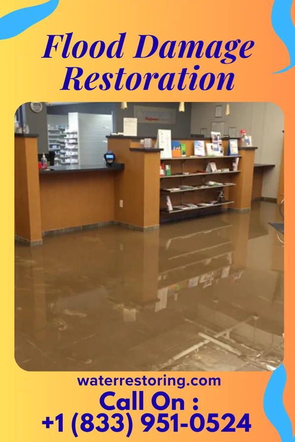 Flood Damage Restoration in Sellers, SC