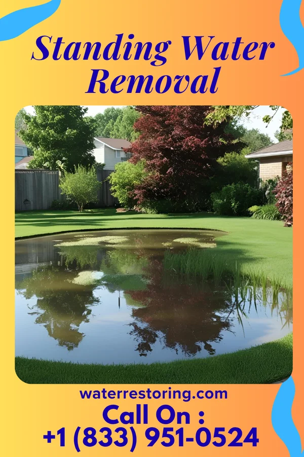 Standing Water Removal in Sellers, SC